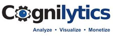 Cognilytics